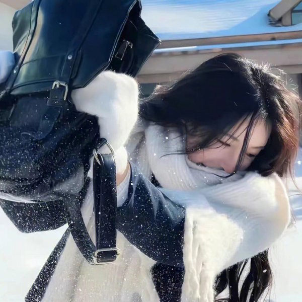 美丽新秩序